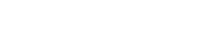 PayFlow Shop - Merchandise and more !